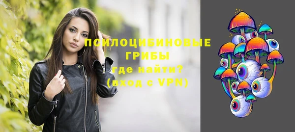 спайс Михайлов
