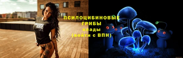 прущая мука Мегион