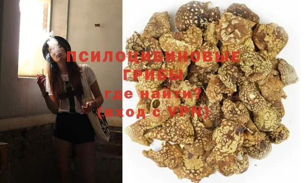 дурь Медногорск